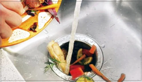 Drain Disposal in Phoenix, AZ