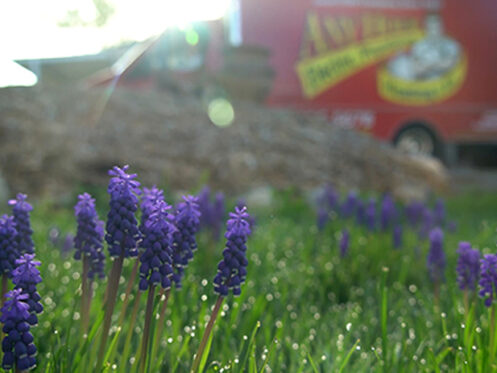 Spring Maintenance in Orem, UT