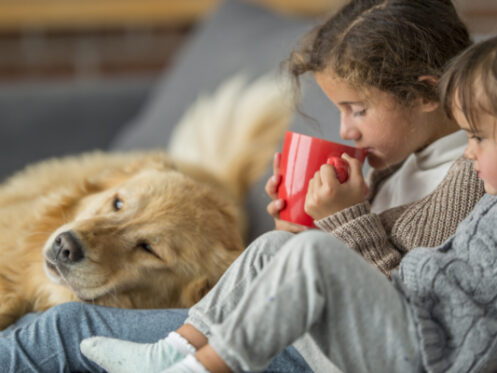 Winter home tips in Orem, UT