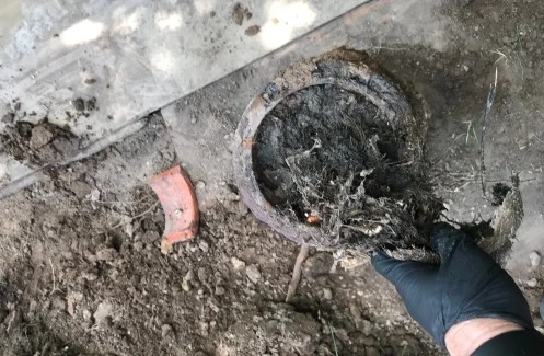 Drain blockages in Orem, UT